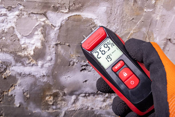  Milton, GA Mold Removal Pros