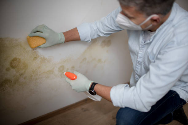 Certified Mold Removal in Milton, GA