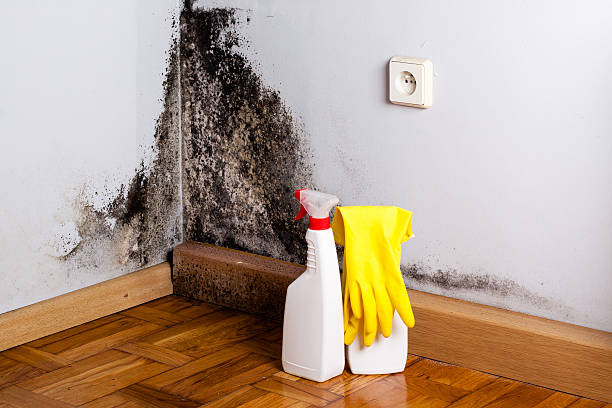 Best Mold Testing  in Milton, GA