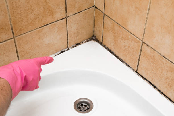 Best Certified Mold Removal  in Milton, GA